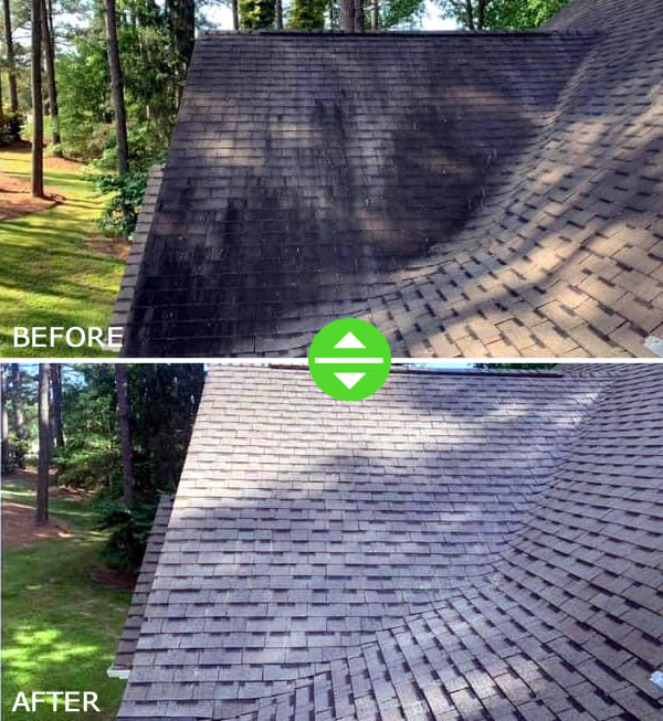 Roof Cleaning Service South Carolina